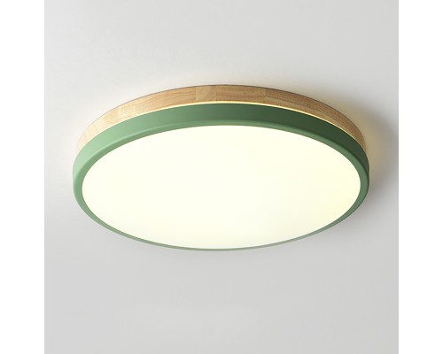 Потолочный светильник DISC DH D27 Green ImperiumLoft