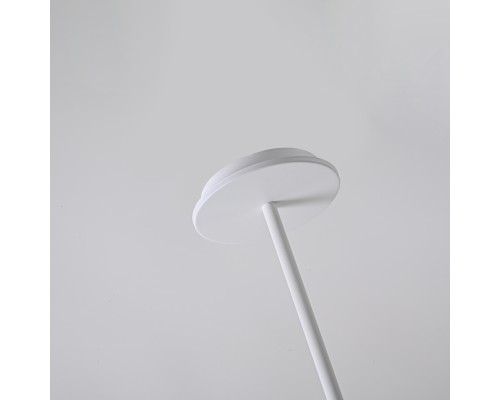 Подвесной светильник ARIA Transparent ImperiumLoft