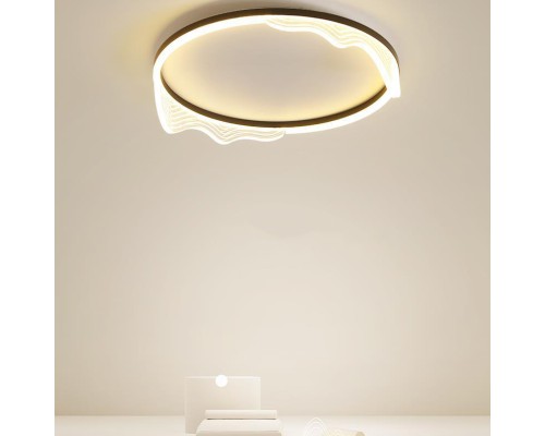 Потолочный светильник IZELIN D50 Black