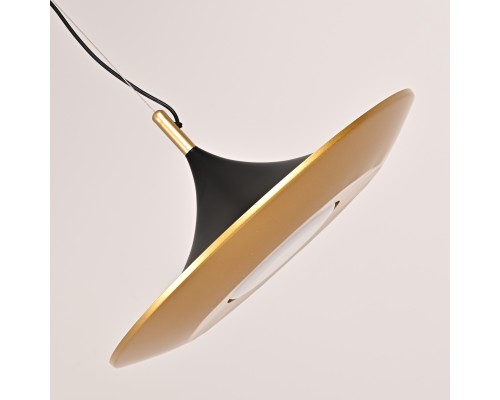 Подвесной светильник RASK ImperiumLoft