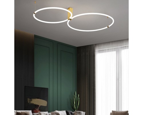 Потолочный светильник RINGMOR D60 D80 R2 ImperiumLoft