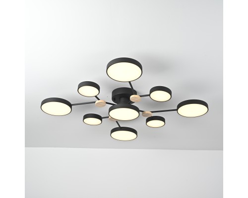 Потолочная люстра GAMMA D98 Black