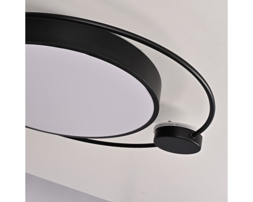 Потолочный светильник DESTIN D50 Black ImperiumLoft