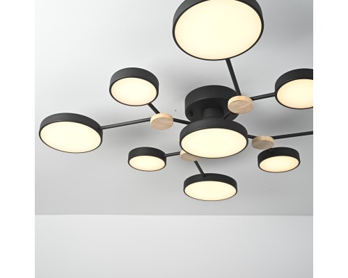 Потолочная люстра GAMMA D98 Black