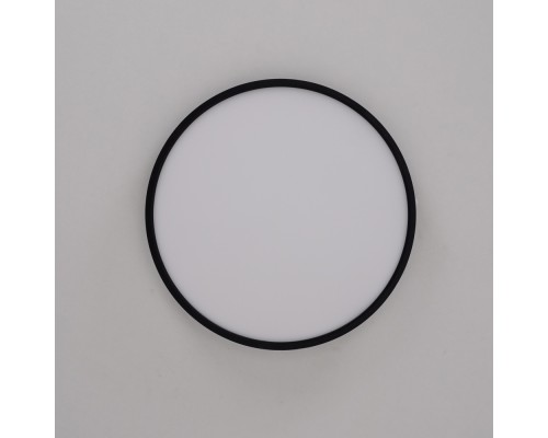 Потолочный светильник EXTRASLIM D40 Black ImperiumLoft