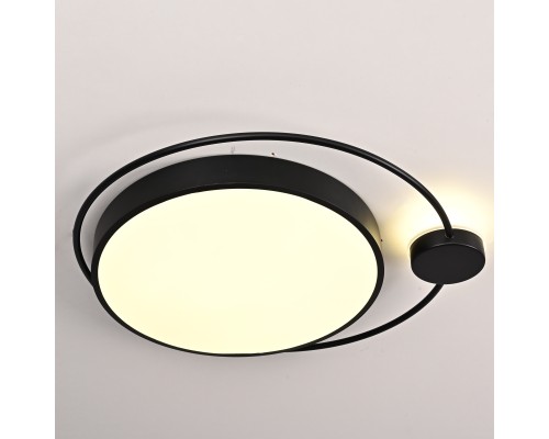 Потолочный светильник DESTIN D60 Black ImperiumLoft