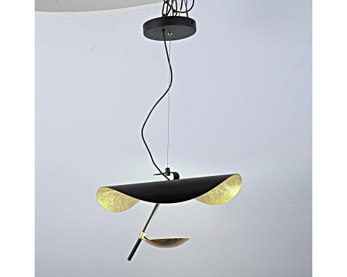 Подвесной светильник COVERT Black D40 ImperiumLoft