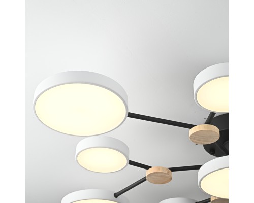 Потолочная люстра GAMMA D102 White