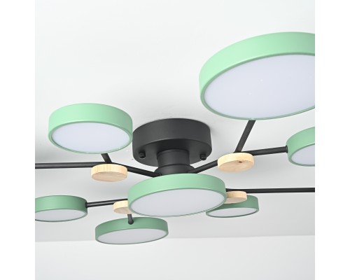 Потолочная люстра GAMMA D98 Green