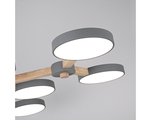 Потолочная люстра TURNA Серый