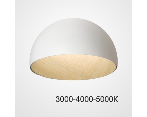 Потолочный светильник BARA B D50 White Трехцветный свет ImperiumLoft