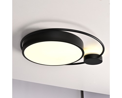 Потолочный светильник DESTIN D40 Black ImperiumLoft