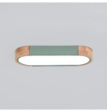 Потолочный светильник LINN L35 Green ImperiumLoft