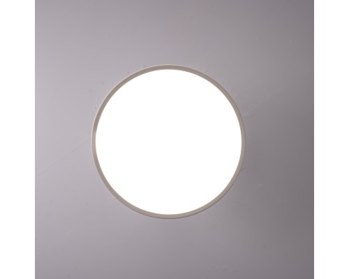 Потолочный светильник BIRK D30 White ImperiumLoft