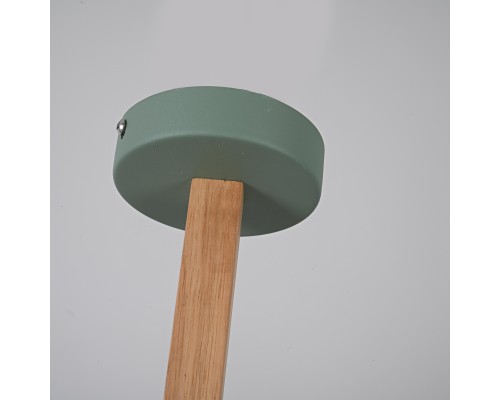 Потолочная люстра NOA 8 Mint