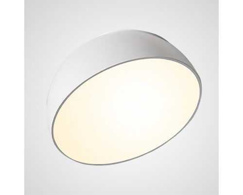 Потолочный светильник SELDEN D20 White ImperiumLoft