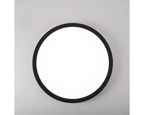 Потолочный светильник SLIM D30 Чёрный