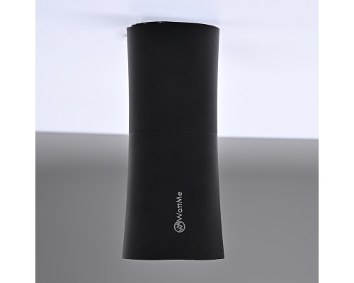 Потолочный светильник Zyppa Black H12 ImperiumLoft