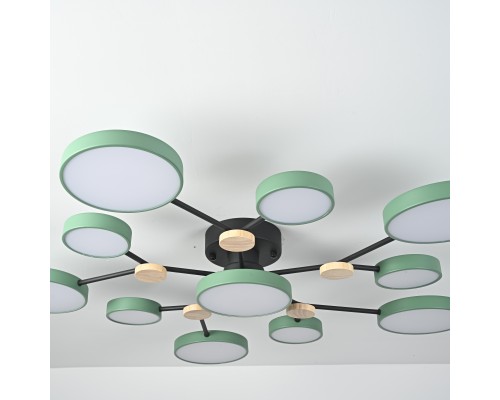 Потолочная люстра GAMMA D102 Green