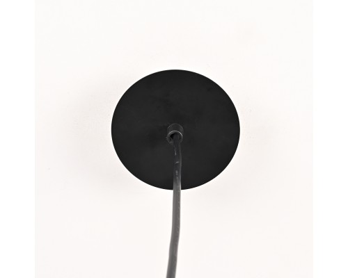 Подвесной светильник Roundew D29 Black ImperiumLoft