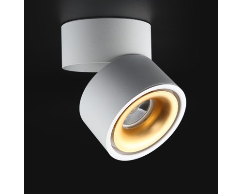 Потолочный светильник AGENDA White+Gold 10W ImperiumLoft