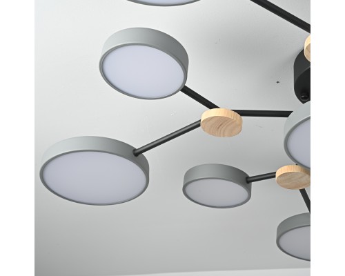 Потолочная люстра GAMMA D102 Grey