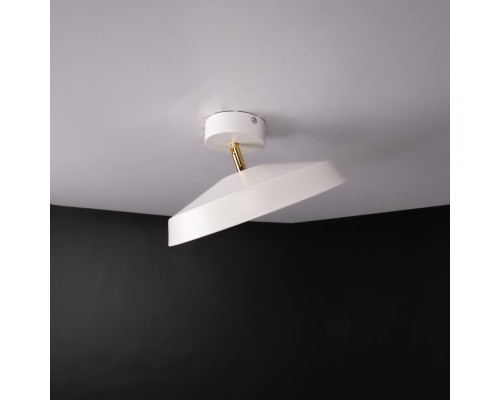 Потолочный светильник BIRK D30 White ImperiumLoft