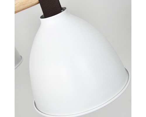 Потолочная люстра FLAN 3