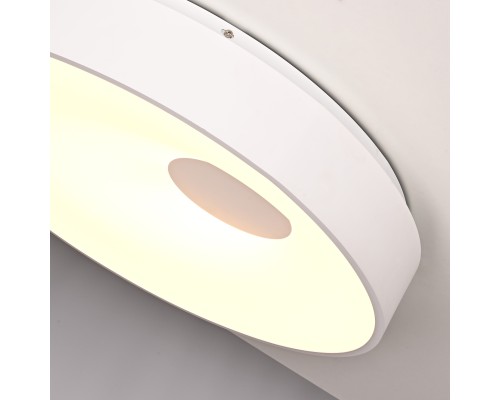 Потолочный светильник ECLA D45 ImperiumLoft