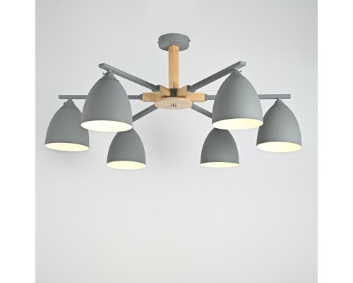 Потолочная люстра NOA 6 Gray