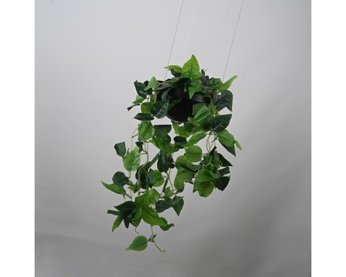 Подвесной светильник PALMA Wall lamp шар + вазон