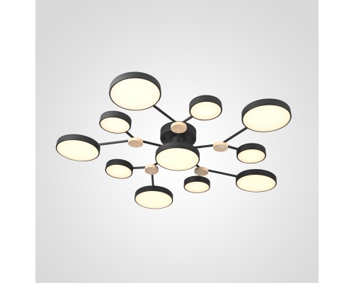 Потолочная люстра GAMMA D102 Black