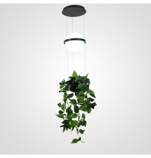 Подвесной светильник PALMA Wall lamp шар + вазон ImperiumLoft