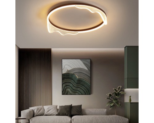 Потолочный светильник IZELIN D50 Black