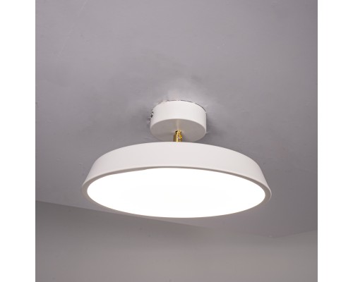 Потолочный светильник BIRK D30 White ImperiumLoft