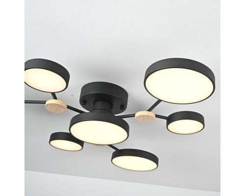 Потолочная люстра GAMMA D88 Black