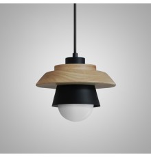 Подвесной светильник ECO Черный ImperiumLoft