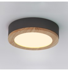 Потолочный светильник WUDDA D30 Серый ImperiumLoft