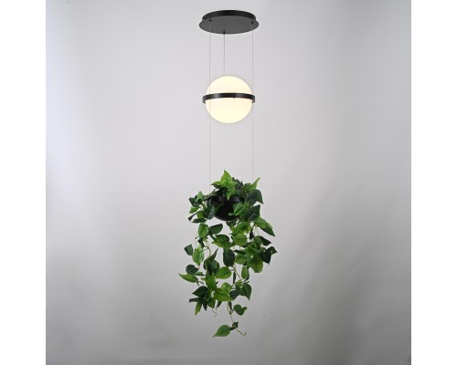 Подвесной светильник PALMA Wall lamp шар + вазон
