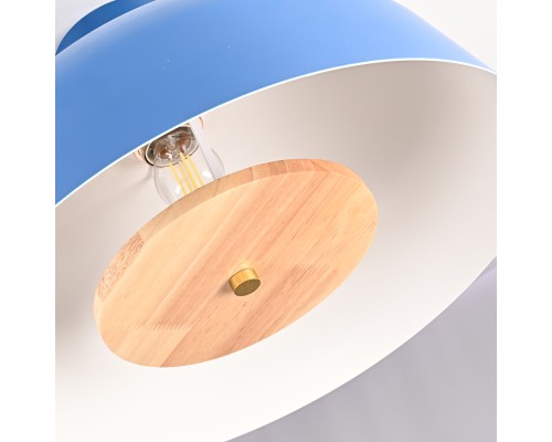 Потолочный светильник GLOBEMI BLUE D38 ImperiumLoft