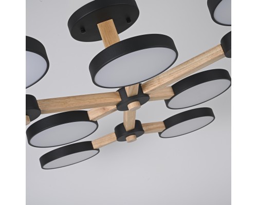 Потолочная люстра TURNA Черный