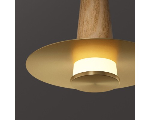 Подвесной светильник CURTISS brass ImperiumLoft