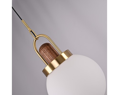 Подвесной светильник Arc Globe Шар D20 ImperiumLoft