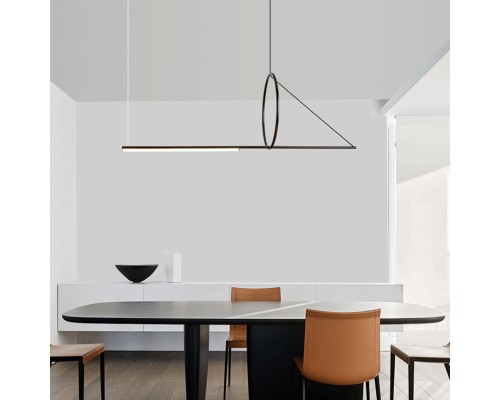 Подвесной светильник SUSPENSION CERCLE ET TRAIT – GRAPHITE SATINE L120 ImperiumLoft