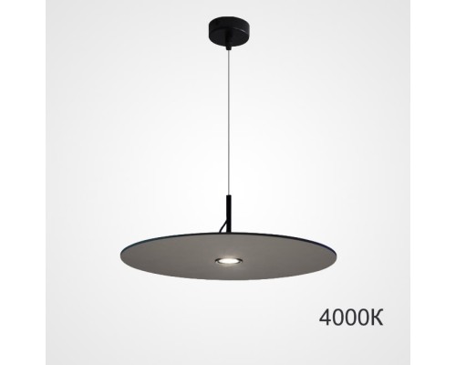Подвесной светильник EUREKA D25 Black 3000К ImperiumLoft
