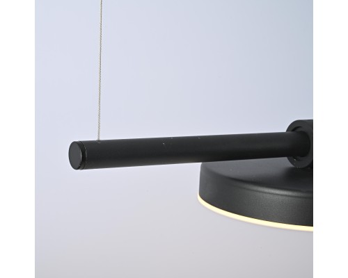 Подвесной светильник CARY-LONG ImperiumLoft