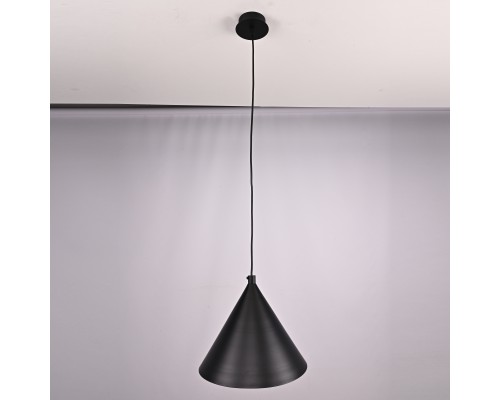 Подвесной светильник Roundew D29 Black ImperiumLoft