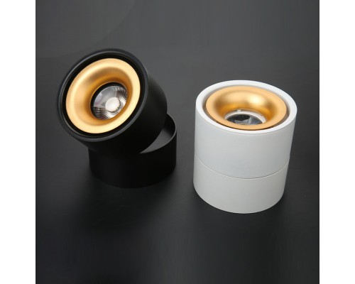 Потолочный светильник AGENDA black+gold 10W ImperiumLoft