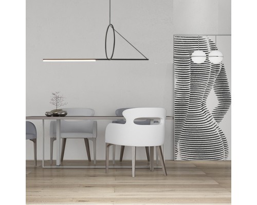 Подвесной светильник SUSPENSION CERCLE ET TRAIT – GRAPHITE SATINE L120 ImperiumLoft