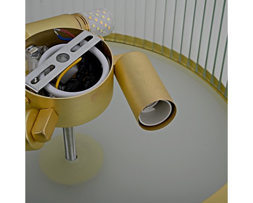 Потолочный светильник VENUS D35